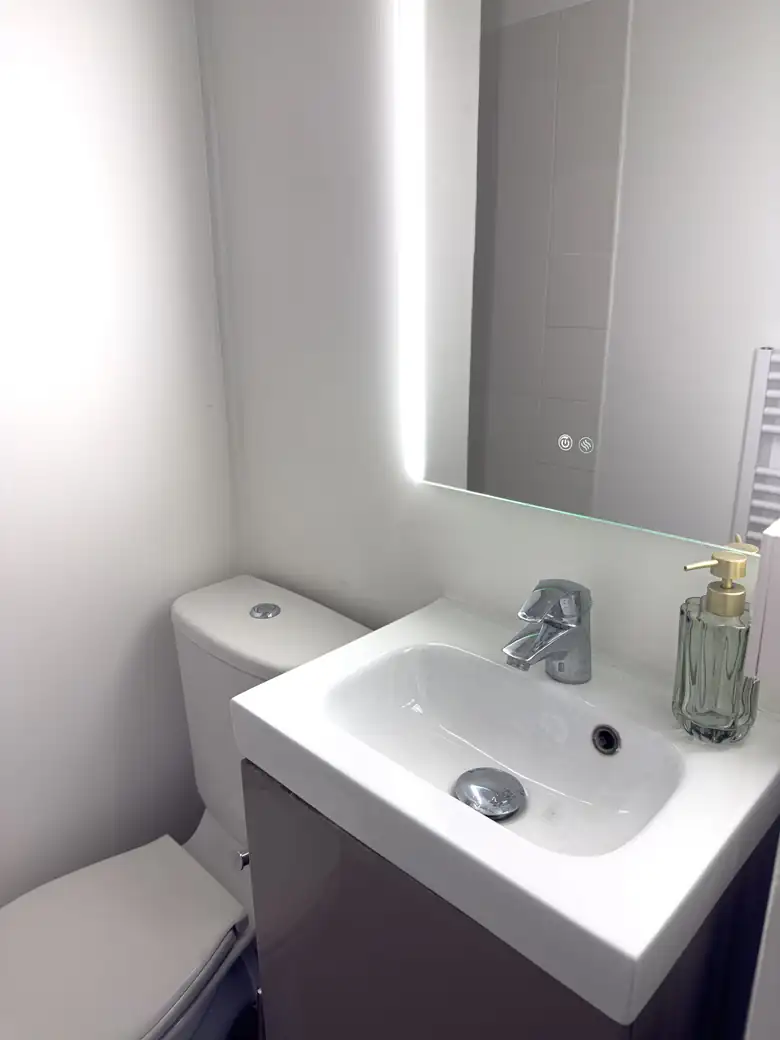 Salle d’eau : vasque et miroir — Appartement de 20m² à Alfortville