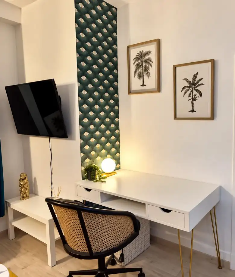Le bureau, la télévision et les cadres botaniques — Appartement meublé à Alfortville